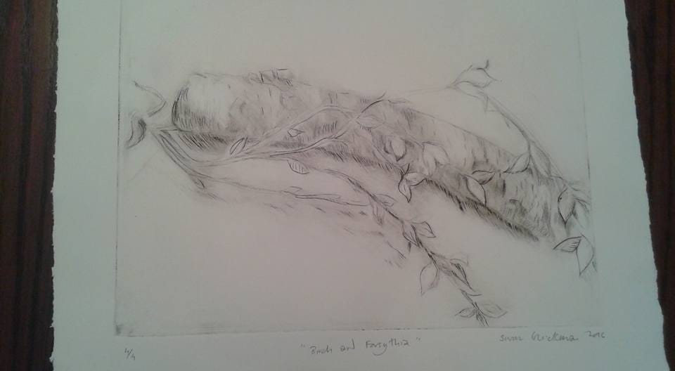 drypoint etching birch and forsythia